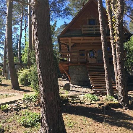 Domek z bali Tryszczyn nad Brdą Zewnętrze zdjęcie