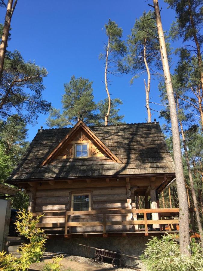Domek z bali Tryszczyn nad Brdą Zewnętrze zdjęcie