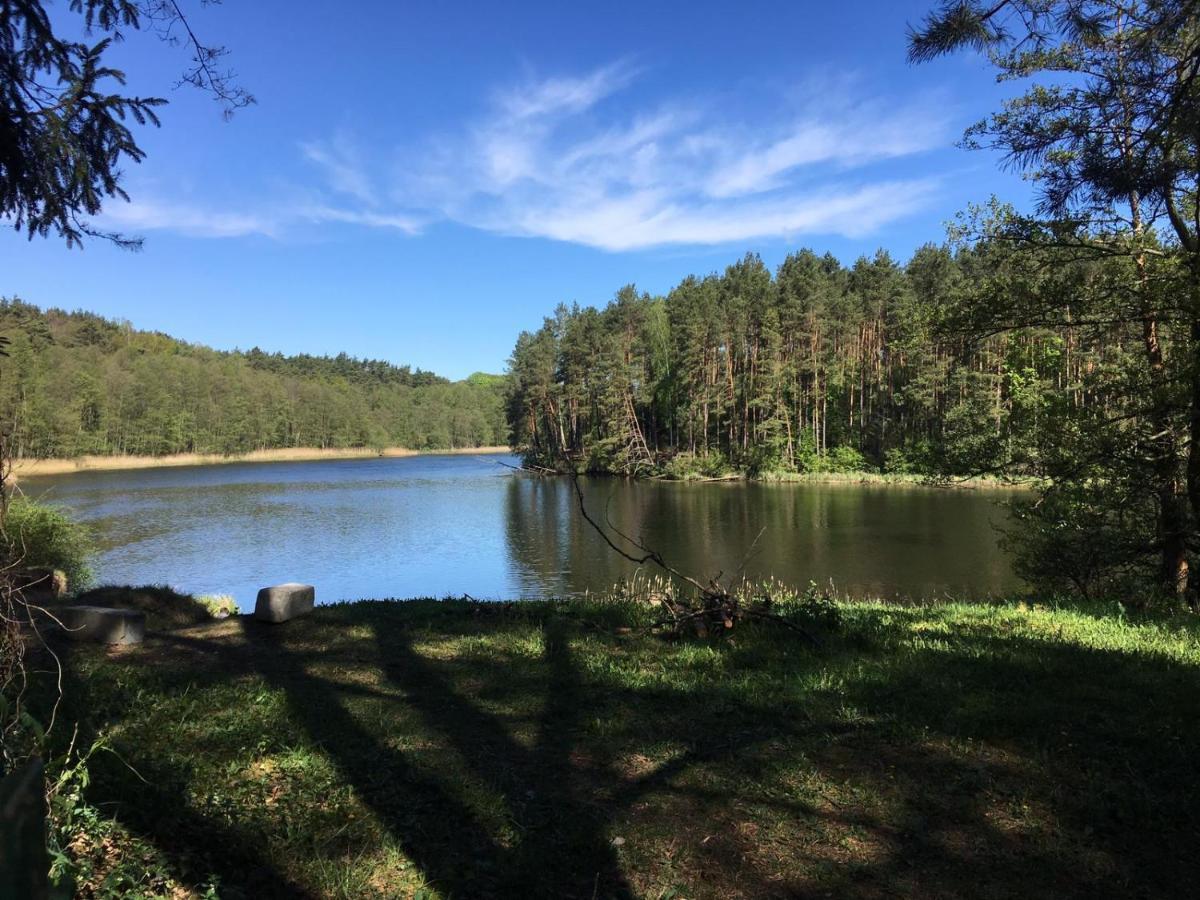 Domek z bali Tryszczyn nad Brdą Zewnętrze zdjęcie