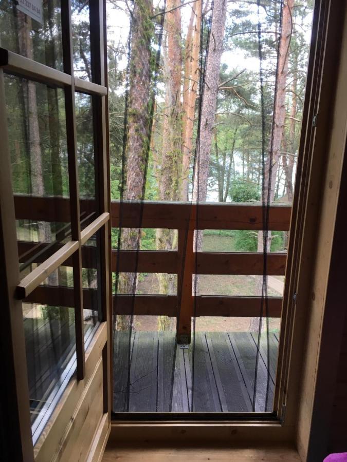 Domek z bali Tryszczyn nad Brdą Zewnętrze zdjęcie