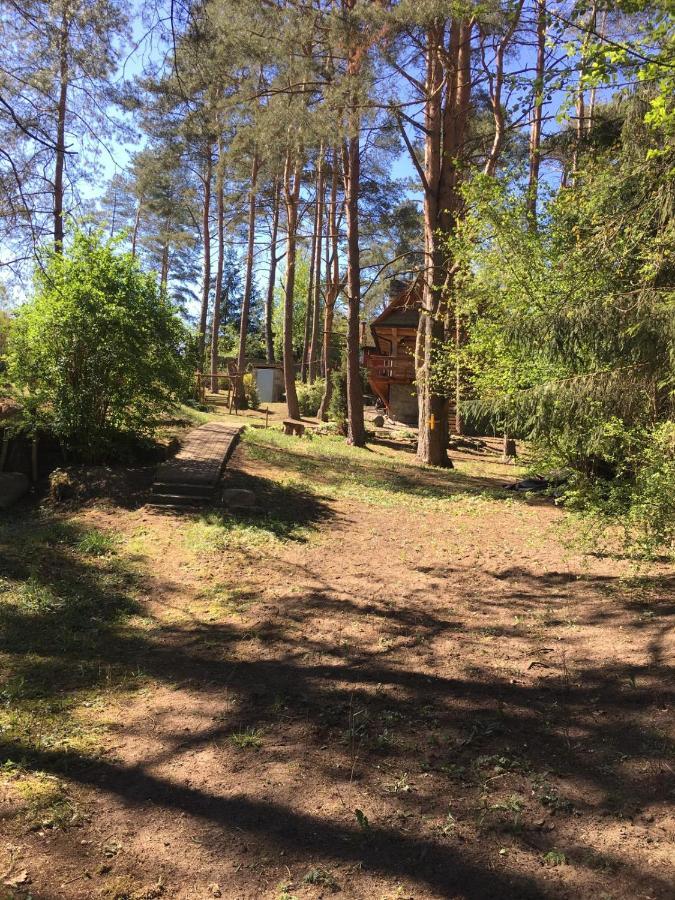 Domek z bali Tryszczyn nad Brdą Zewnętrze zdjęcie
