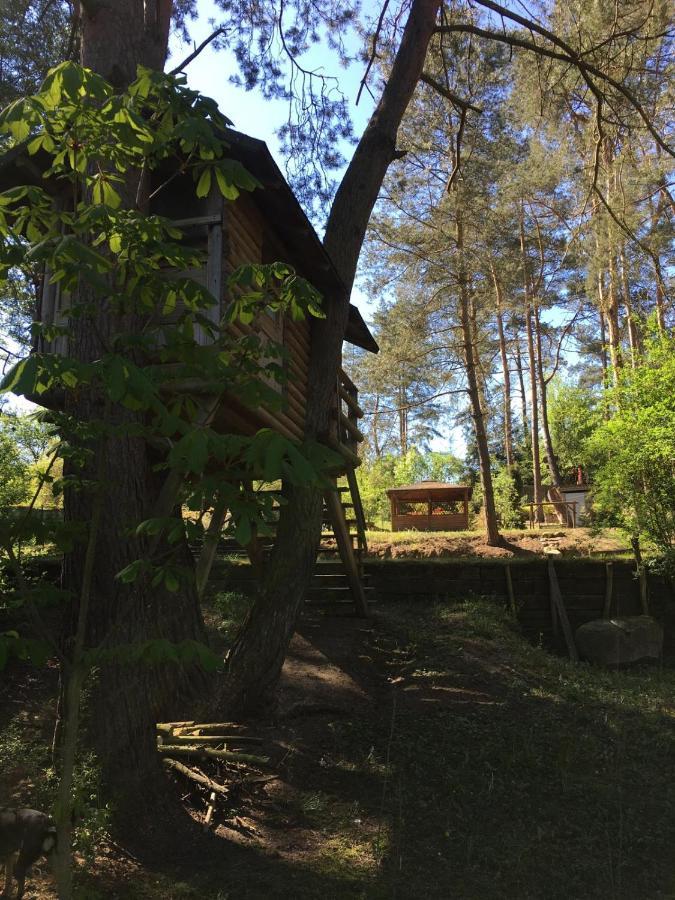 Domek z bali Tryszczyn nad Brdą Zewnętrze zdjęcie